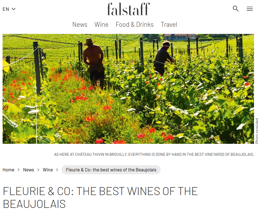 Article de Presse Falstaff de février 2024